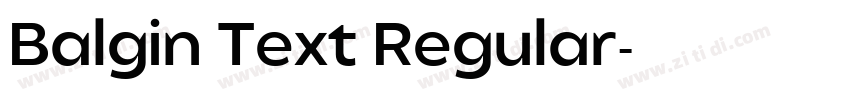 Balgin Text Regular字体转换